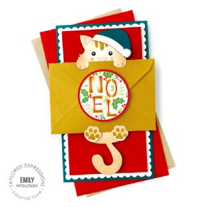 Taylored Expressions - Die & Clear Stamp Combo - I'm a Hugger - Cat