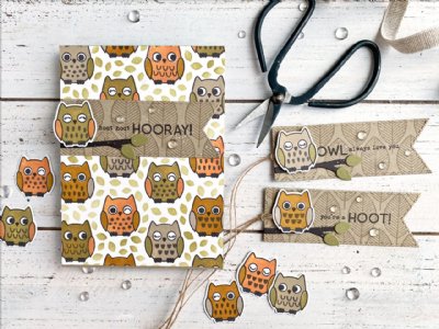 Taylored Expressions - Cling & Clear Stamp Combo - What a Hoot
