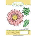 Taylored Expressions - Stamp - Big Blooms Daisy