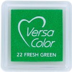 VersaColor - Ink Cube - Fresh Green