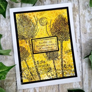 Woodware - Clear Stamp - Discovery