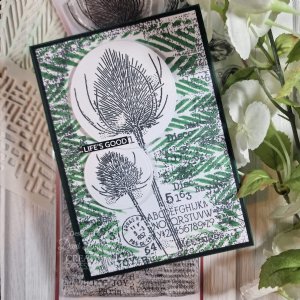 Woodware - Clear Stamp - Discovery